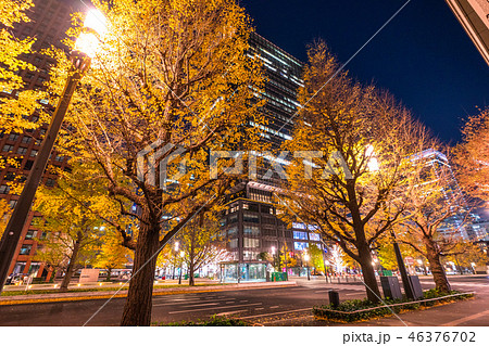 《東京都》東京駅前のイチョウ並木・夜景 《東京都》東京駅前のイチョウ並木・夜景 46376702