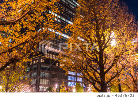 《東京都》東京駅前のイチョウ並木・夜景 《東京都》東京駅前のイチョウ並木・夜景 46376703