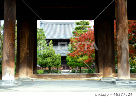 建仁寺の秋2018 建仁寺の秋2018 46377324