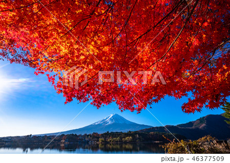 《絶景》日本の秋・富士山と紅葉 《絶景》日本の秋・富士山と紅葉 46377509