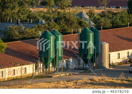 Out buildings and shed on a small farm Out buildings and shed on a small farm 46378259