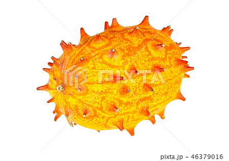 Kiwano, whole fruit isolated on white background 46379016
