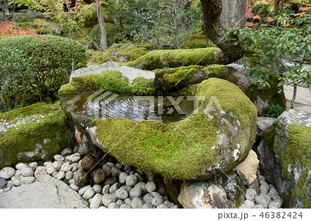 天授庵 手水鉢 天授庵 手水鉢 46382424