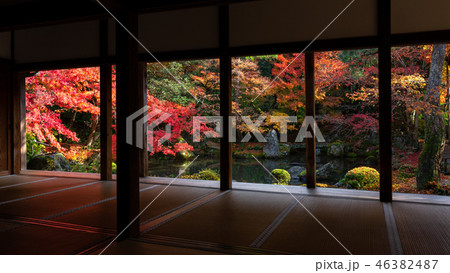 秋の蓮華寺 46382487