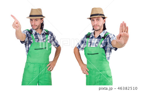 Male gardener isolated on white  46382510