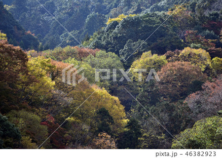 山の紅葉 山の紅葉 46382923