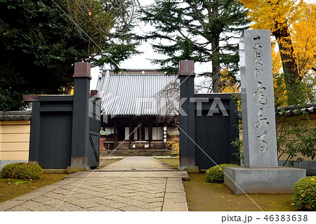 上野　寛永寺 46383638