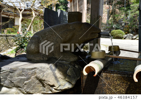 玉津岡神社より 玉津岡神社より 46384157