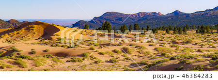 コーラルピンクサンドデューンズ コーラルピンクサンドデューンズ 46384283