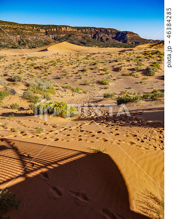 コーラルピンクサンドデューンズ コーラルピンクサンドデューンズ 46384285