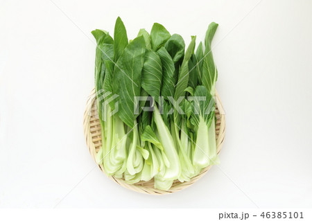 青梗菜の縦切り 青梗菜の縦切り 46385101