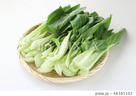 青梗菜の縦切り 46385102
