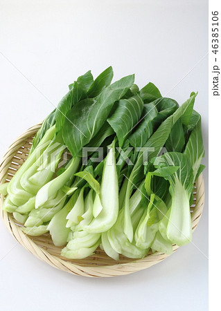 青梗菜の縦切り 46385106