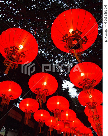 優しさいっぱい 優しさいっぱい 46386954