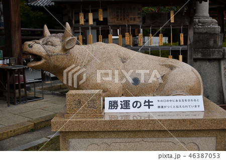 三室戸寺秋2018 三室戸寺秋2018 46387053