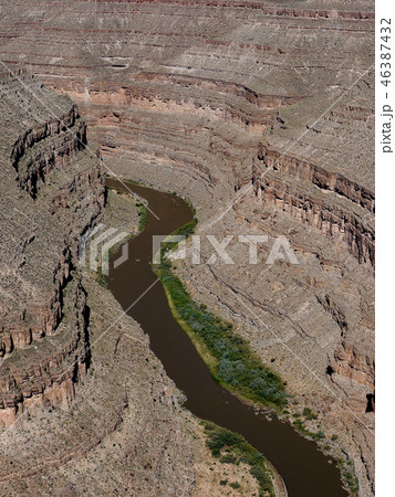 グースネックス 46387432