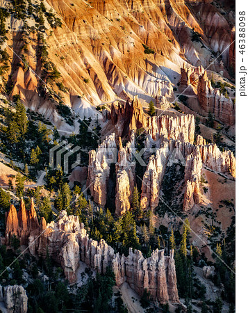 ブライスキャニオン・ブライスポイント 46388098