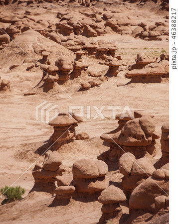 ゴブリンバレー 46388217