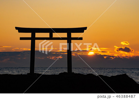 大洗磯前神社 神磯の鳥居 46388487