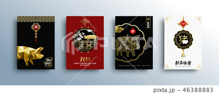 Chinese New Year of the Pig 2019 gold hog card set 46388883