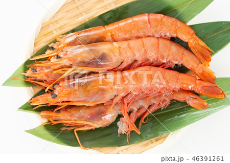 赤えび 赤えび 46391261