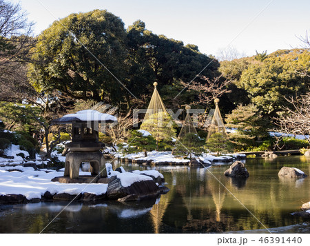 1月の雪の残る旧古河庭園の日本庭園、灯籠と松の雪吊り 46391440