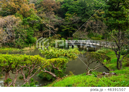 Sankeien garden with trees, bridge, pond Yokohama Sankeien garden with trees, bridge, pond Yokohama 46391507