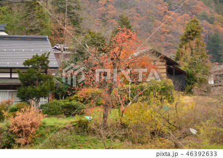 晩秋の里山 晩秋の里山 46392633