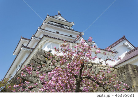 鶴ヶ城 鶴ヶ城 46395031