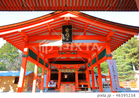 冬の香椎宮(本殿)福岡県福岡市東区香椎4-16-1 冬の香椎宮(本殿)福岡県福岡市東区香椎4-16-1 46395238