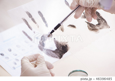 Forensic expert studying fingerprints in the lab 46396485