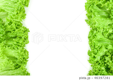 Lettuce leaf isolated on white background with copy space for your text. Set or collection Lettuce leaf isolated on white background with copy space for your text. Set or collection 46397281