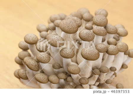 しめじのクローズアップ しめじのクローズアップ 46397353