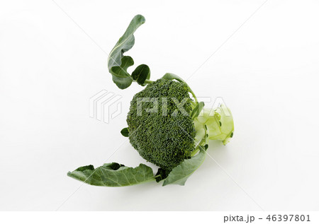 ブロッコリー ブロッコリー 46397801