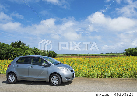 夏のドライブ 46398829