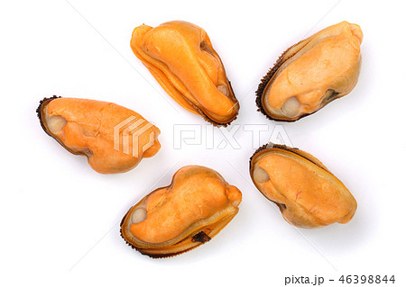 mussels isolated on white background. Top view. Flat lay 46398844