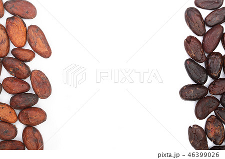 cocoa bean isolated on white background with copy space for your text. Top view. Flat lay 46399026