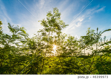 Thailand's Countryside12 Thailand's Countryside12 46399973