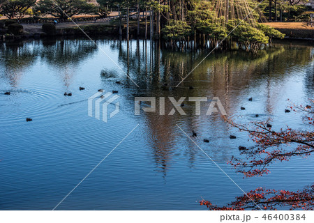 兼六園の秋 46400384