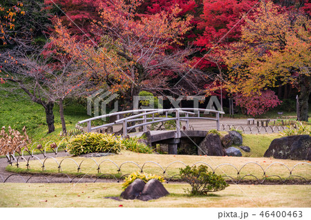 （東京）小石川後楽園　紅葉の季節 46400463