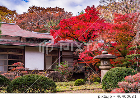 (東京)小石川後楽園 紅葉の季節 (東京)小石川後楽園 紅葉の季節 46400631