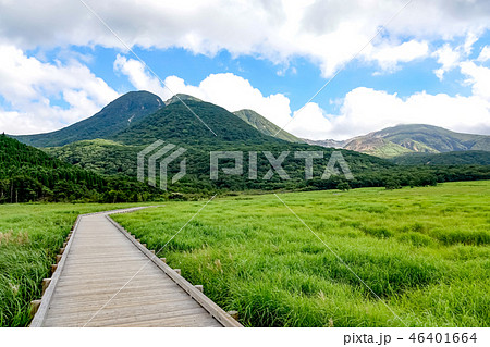 初夏のタデ原湿原 46401664