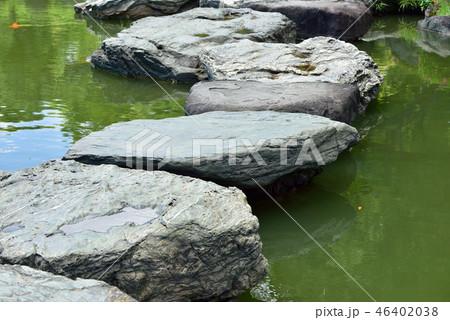 庭石 46402038