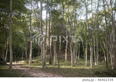 CAMBODIA KAMPONG THOM SAMBOR PREI KUK TEMPLE 46402334