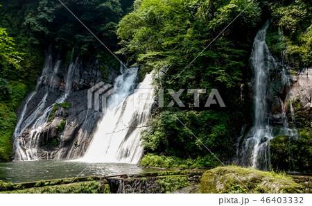 陽目渓谷　白水の滝 46403332