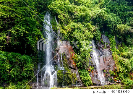 陽目渓谷 白水の滝 陽目渓谷 白水の滝 46403340