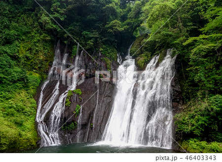 陽目渓谷 白水の滝 陽目渓谷 白水の滝 46403343