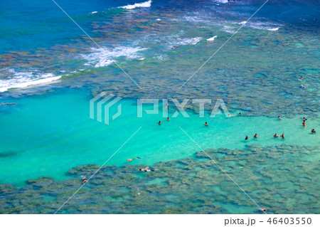 ハナウマ湾 ハワイ ハナウマ湾 ハワイ 46403550