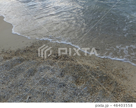 波打ち際 46403558