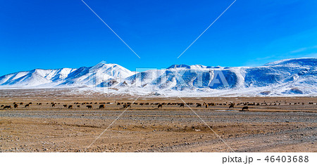 Paniramic view of the beautiful mountain 46403688
